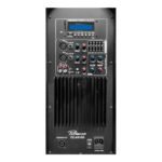 PZ-AW15G(F) Caja acústica activa 15″ 300W RMS con ecualizador,  BT, TWS integrado, con salida activa Speakon "POTTENZA PREMIUM" - Imagen 3