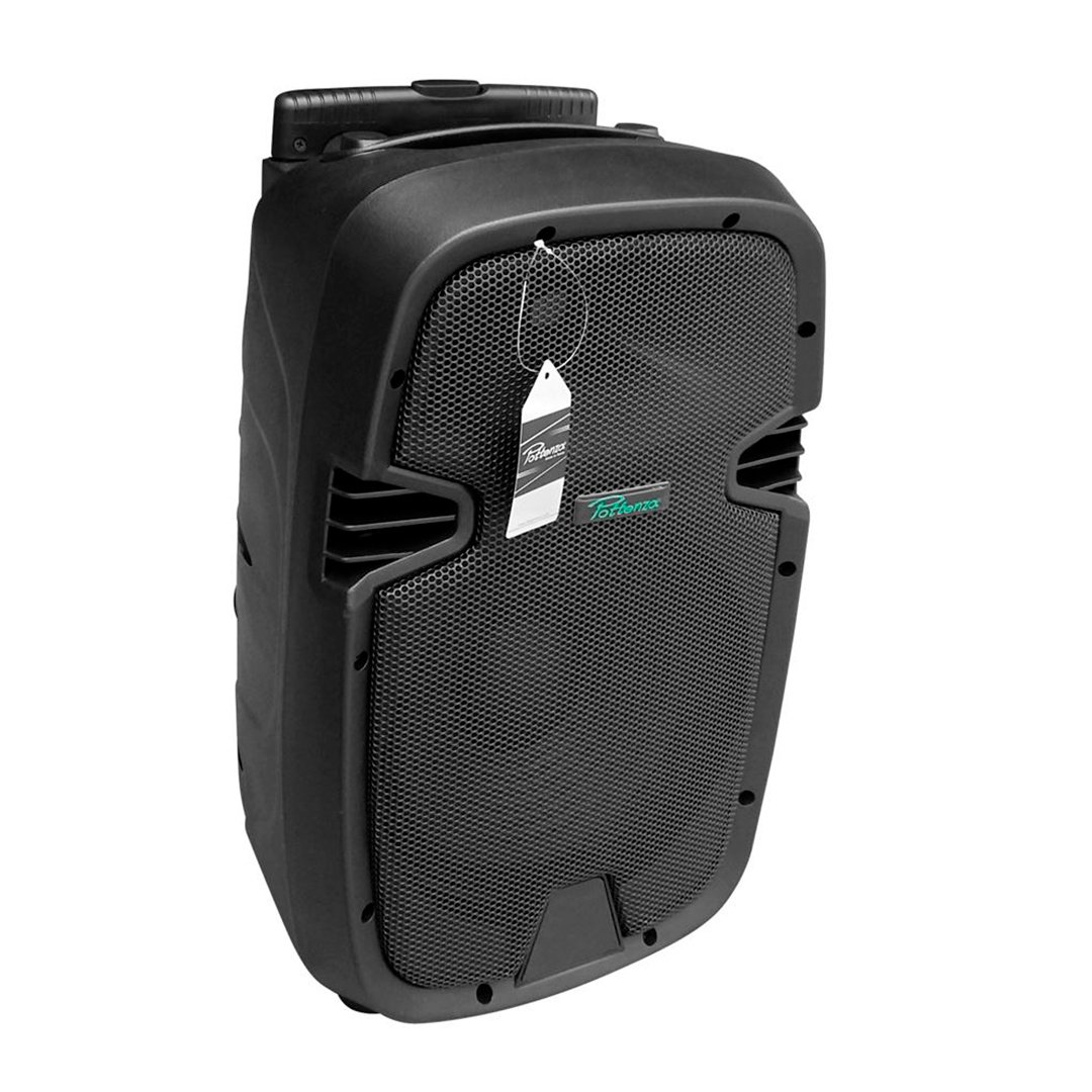 1 PZ-I10WA2 CAJA ACUSTICA 2VIA 10" C/BAT REC 60W 2MIC. "POTTENZA" - Imagen 1