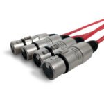 EBN804LU10 CABLE DE AUDIO MEDUSA DE 12 CANALES (8 ENTRADAS "XLR"- 4 SALIDAS "XLR") NEUTRIK «PROEL» - Imagen 4