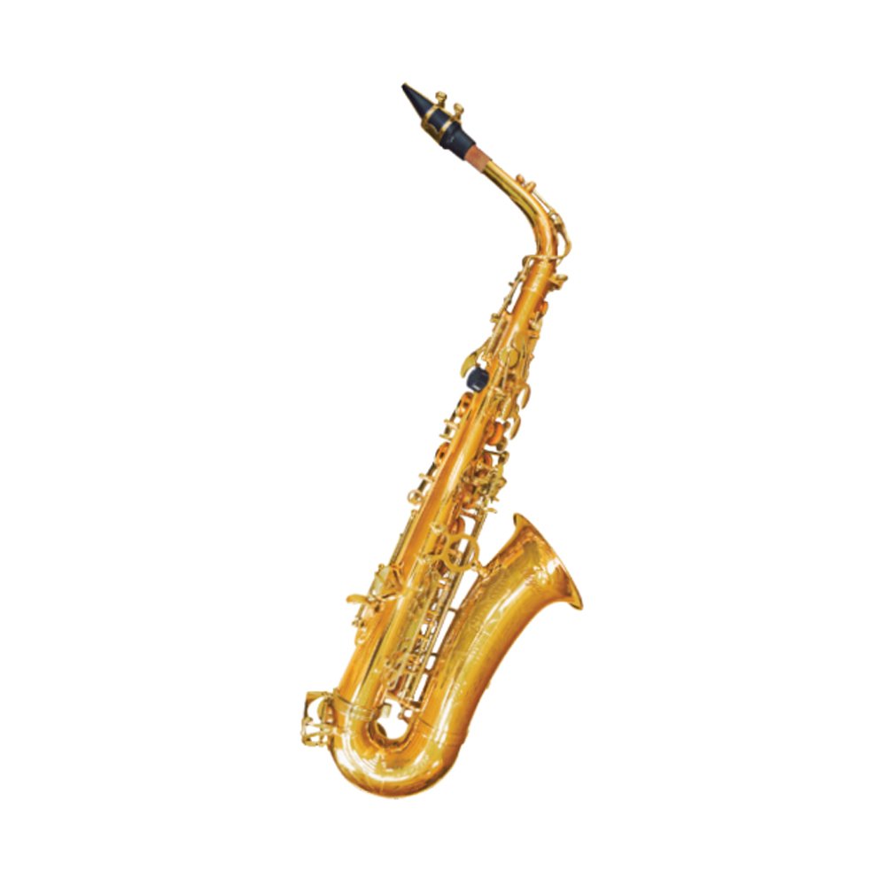 VGS-FT6430LG.jpg VGS-FT6430LG Saxo alto (claves doradas) "VILLEGAS" - Imagen 1